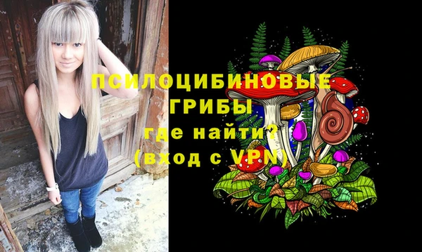 твердый Лиски