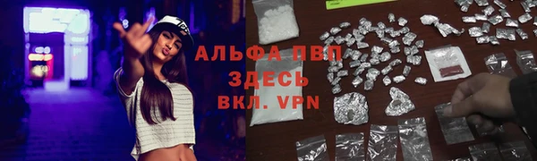 дживик Абинск