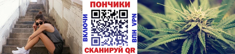Бошки марихуана планчик  Ленинградская 